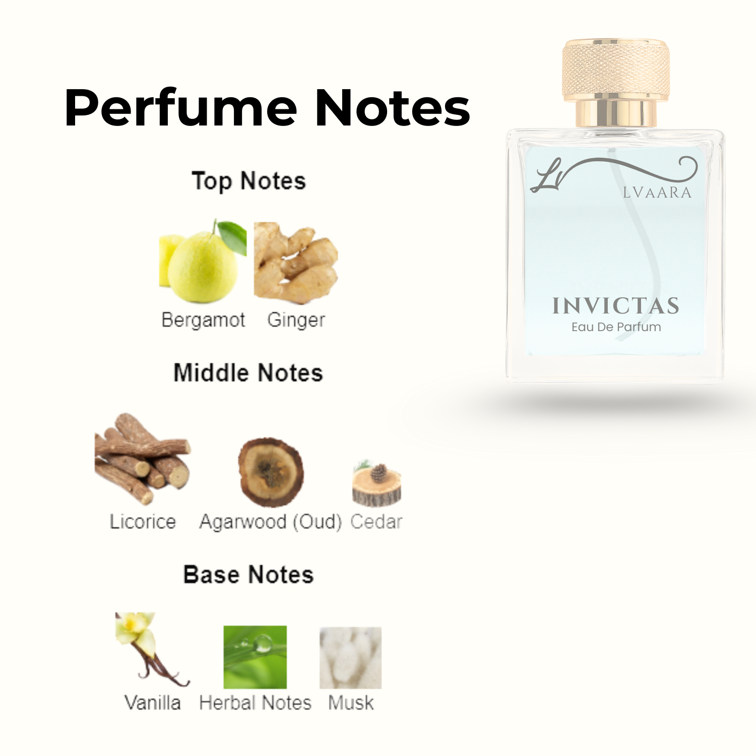 INVICTAS | INSPIRED BY INV*CTUS | EDP | UNISEX